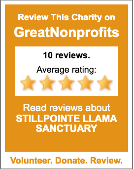 StillPointe Llama Sanctuary is a top-rated nonprofit